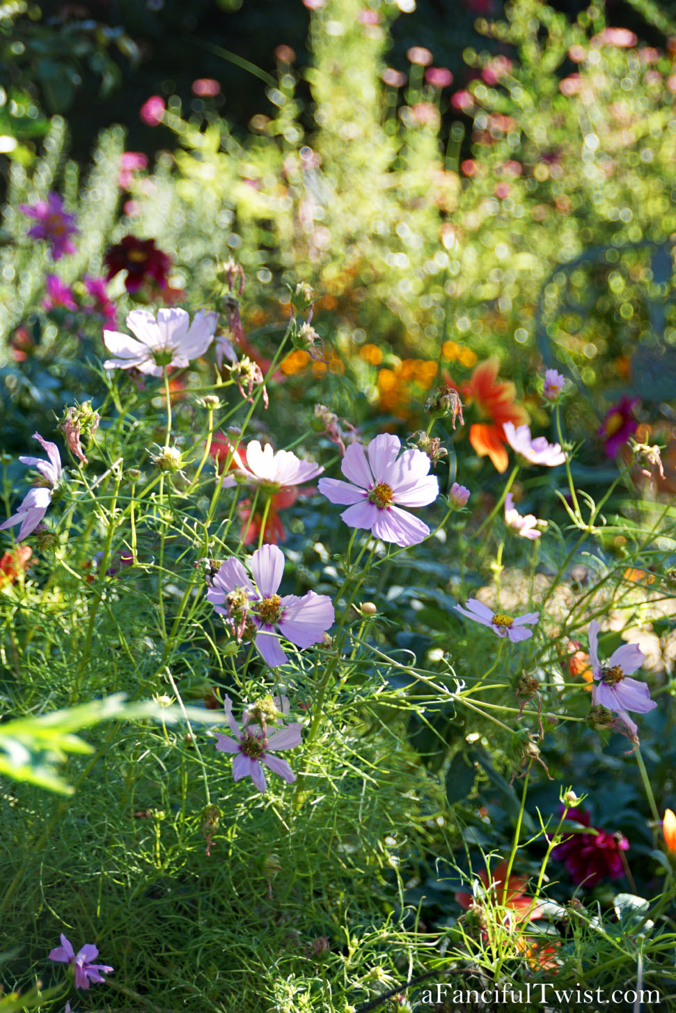 In the autumn October garden 10 In the autumn October garden 10