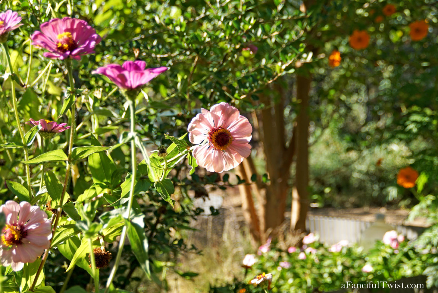In the autumn October garden 1 In the autumn October garden 1