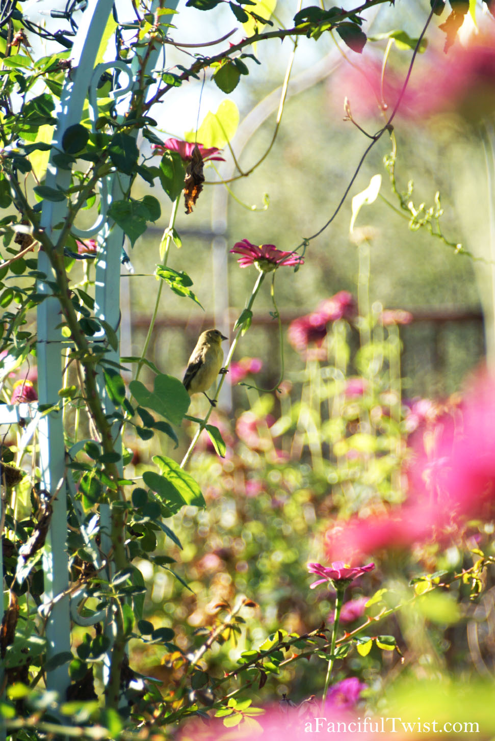 In the autumn October garden 20 In the autumn October garden 20
