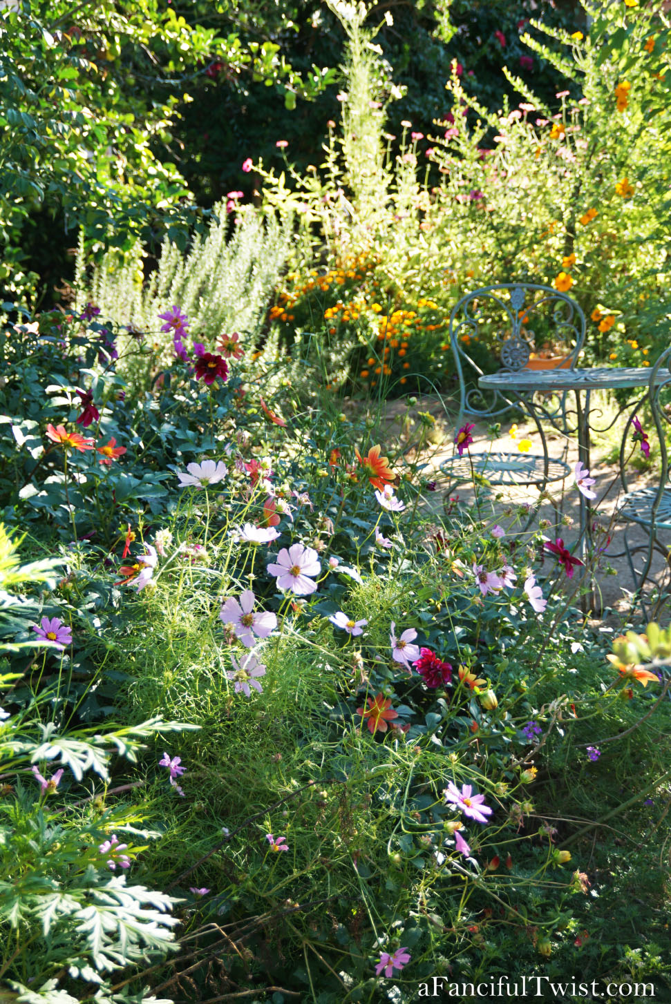 In the autumn October garden 9 In the autumn October garden 9