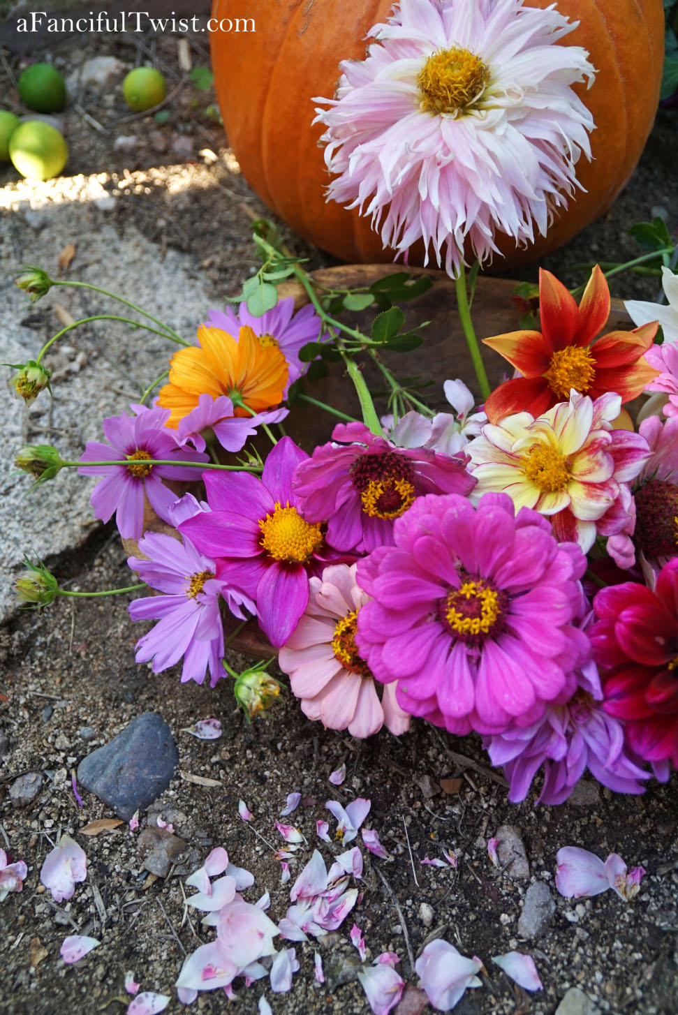 In the autumn October garden 25 In the autumn October garden 25
