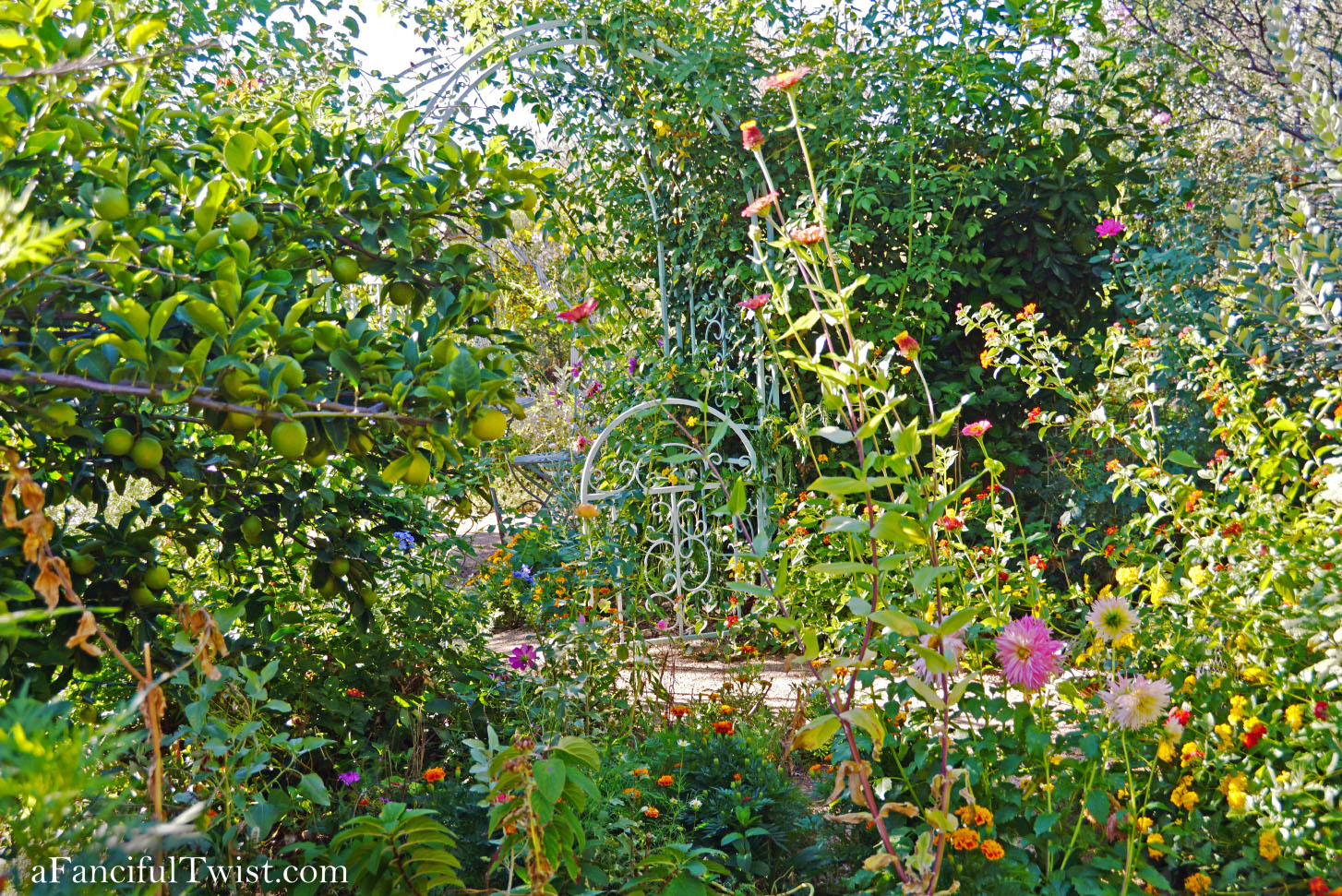 In the autumn October garden 14 In the autumn October garden 14