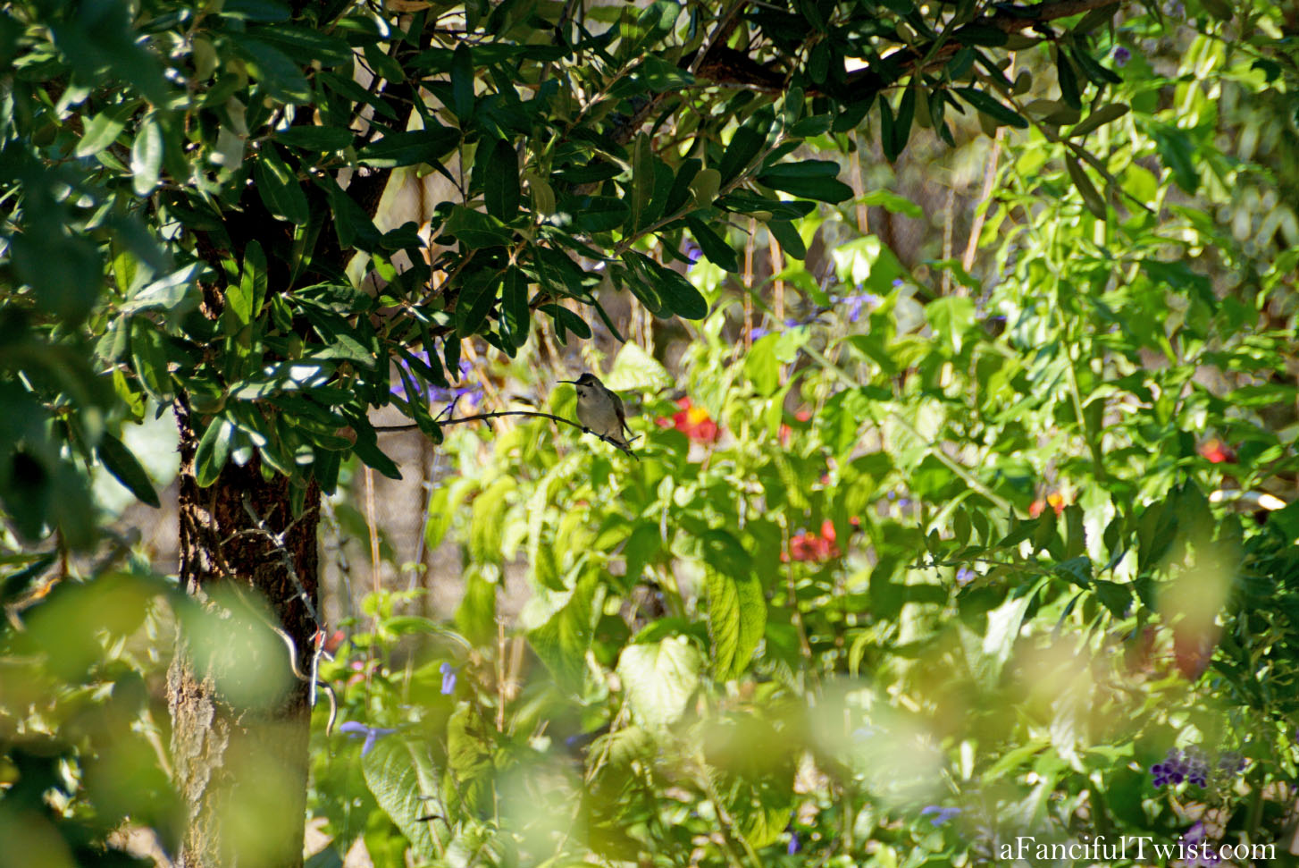 In the autumn October garden 3 In the autumn October garden 3