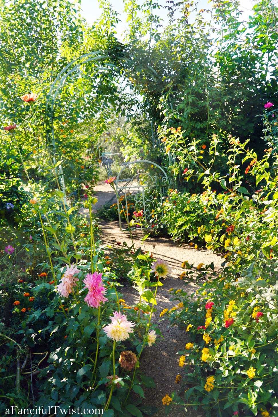 In the autumn October garden 18 In the autumn October garden 18