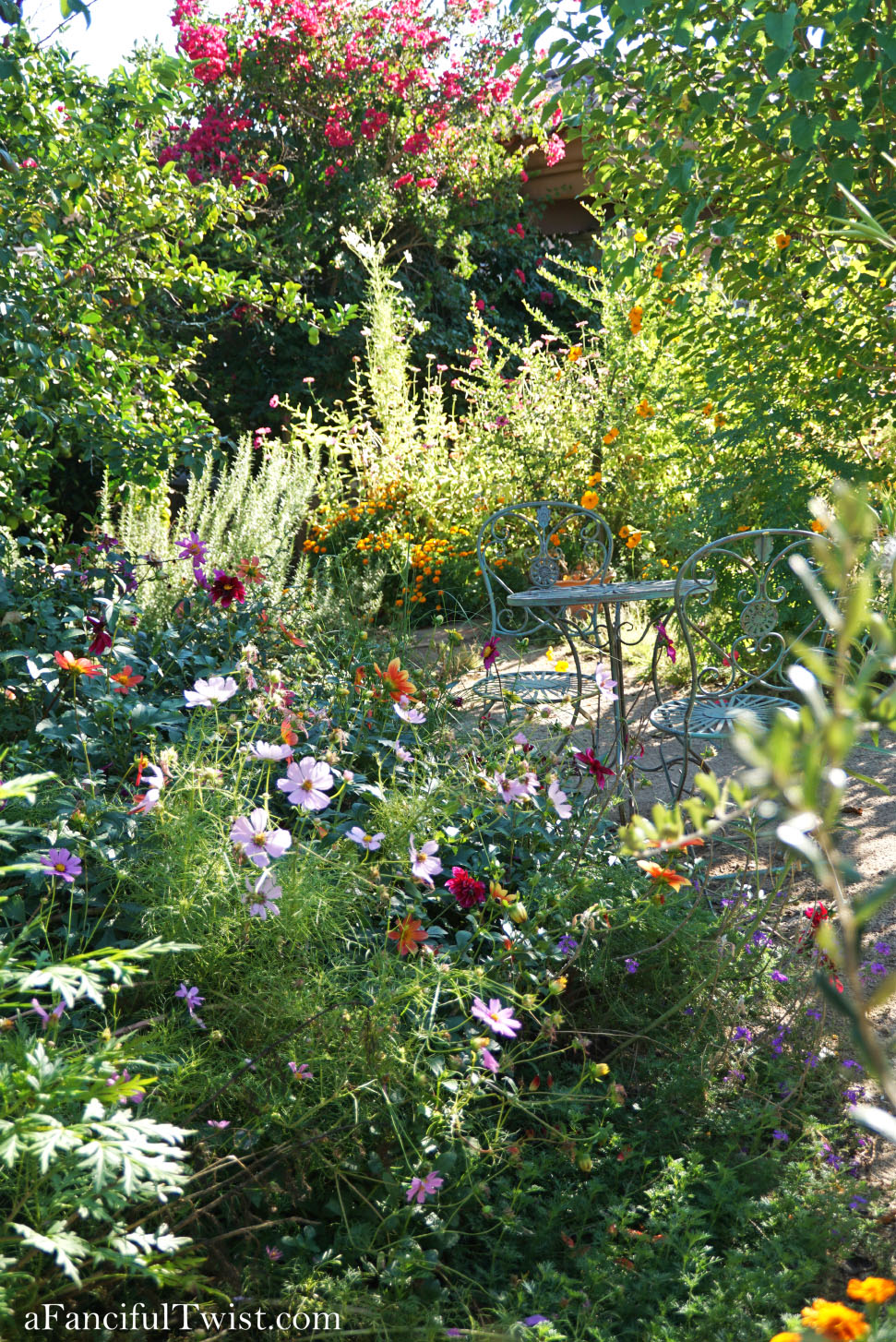 In the autumn October garden 8 In the autumn October garden 8