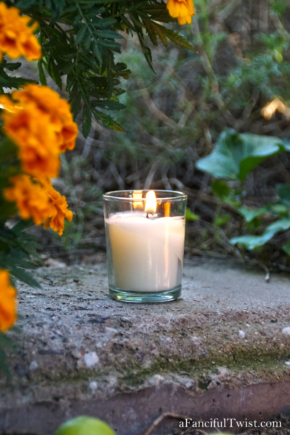 In the autumn October garden 27 In the autumn October garden 27