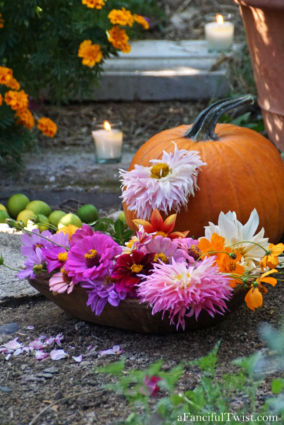 In the autumn October garden 24 In the autumn October garden 24