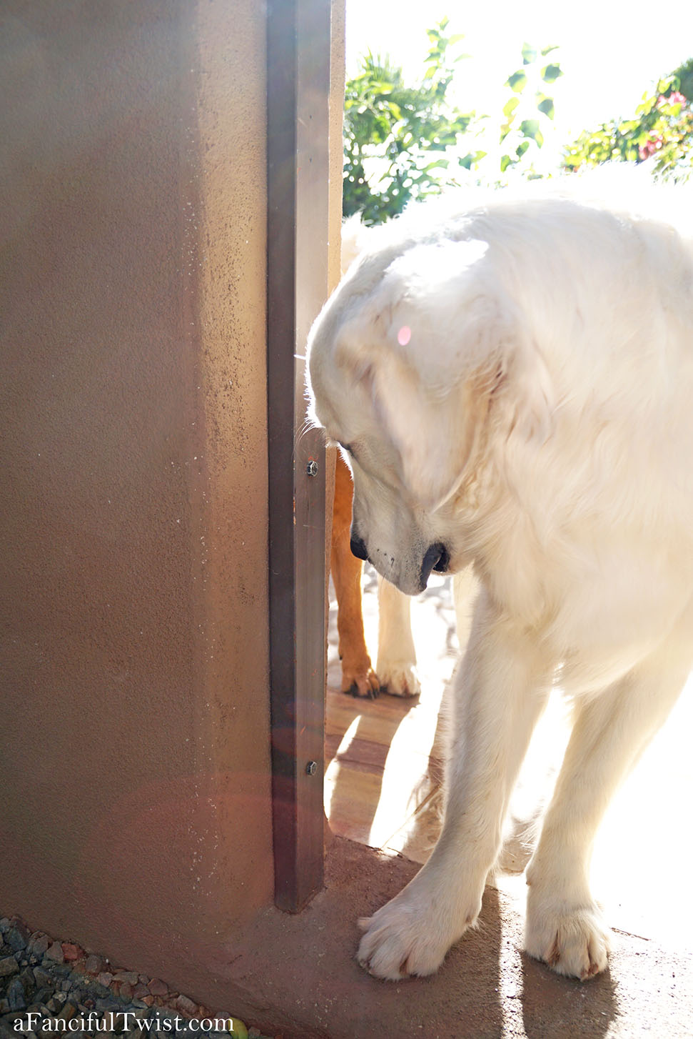 November secret garden magic 14 November secret garden magic 14