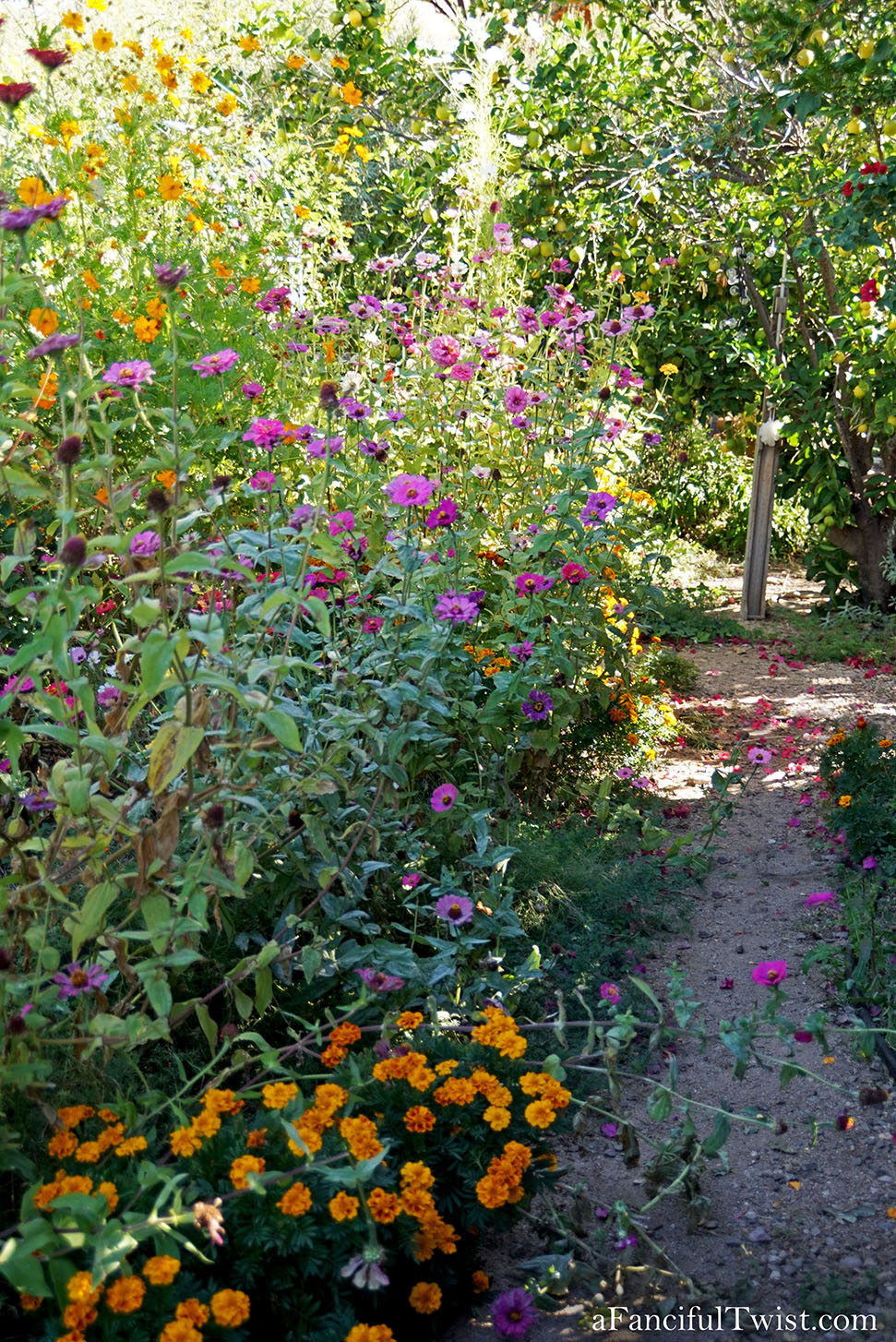 November secret garden magic 9 November secret garden magic 9