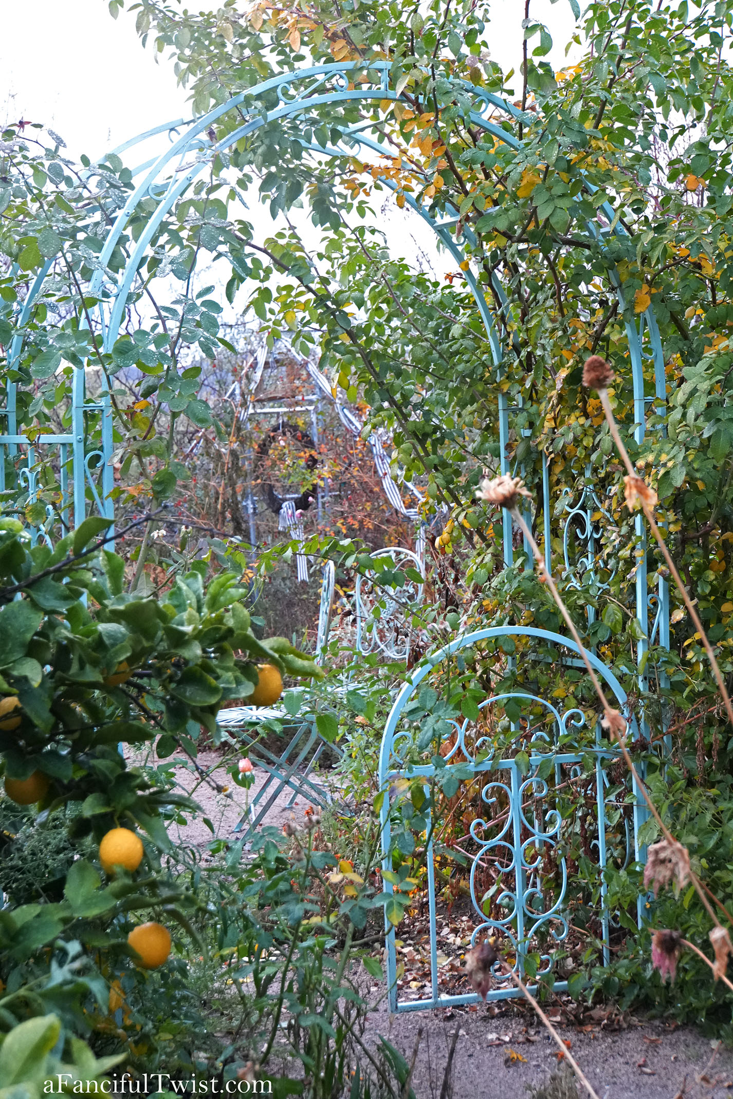 Winter garden 13 Winter garden 13