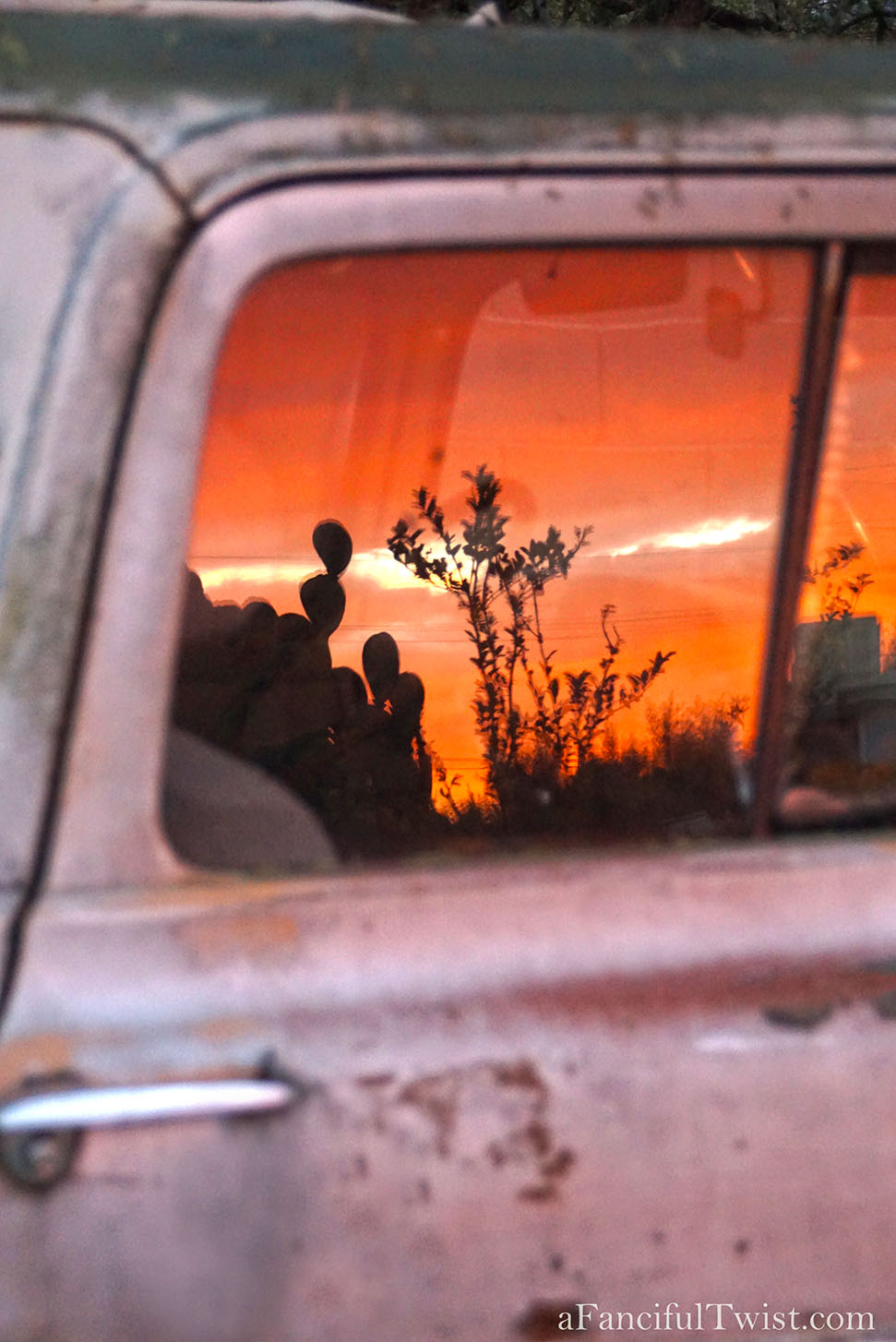 Winter garden 17 Winter garden 17