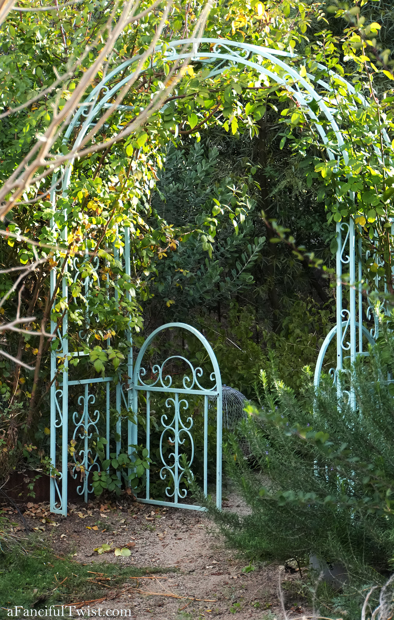 Petals and paper 6 Petals and paper 6