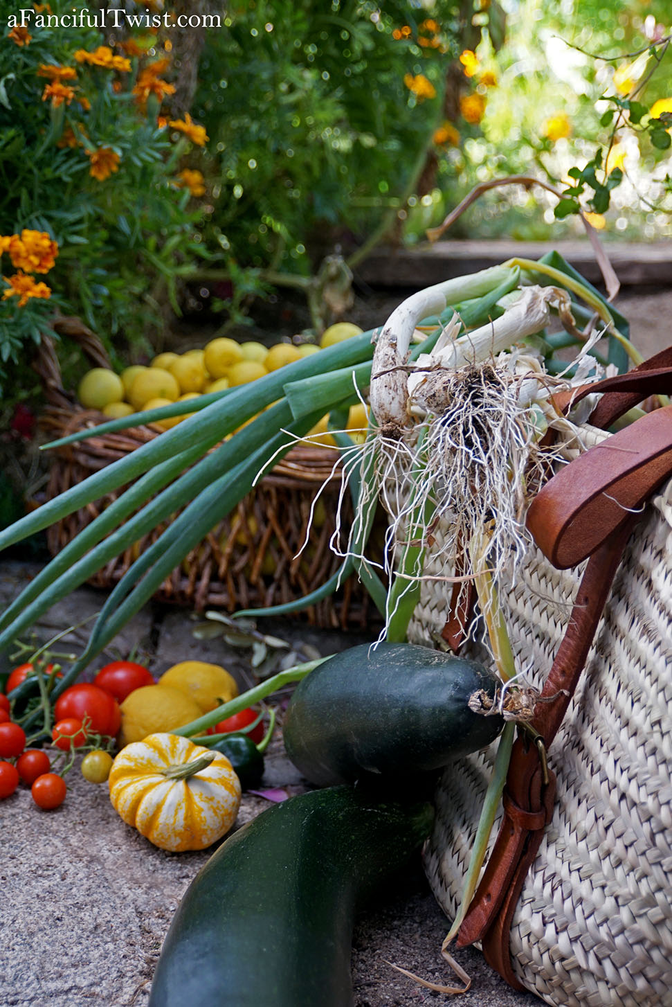 November secret garden magic 19 November secret garden magic 19