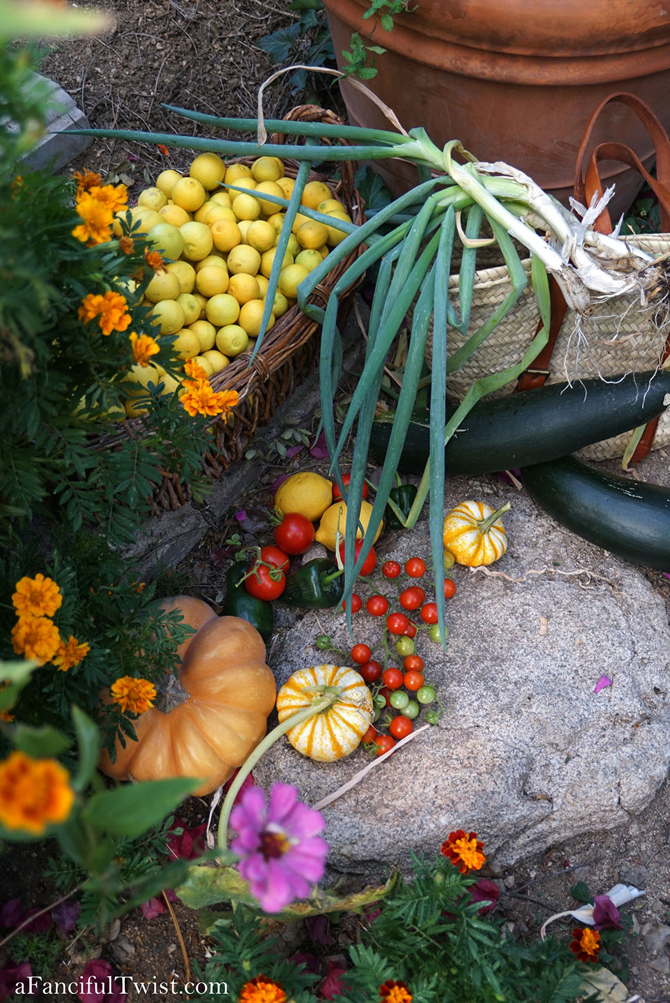 November secret garden magic 17 November secret garden magic 17