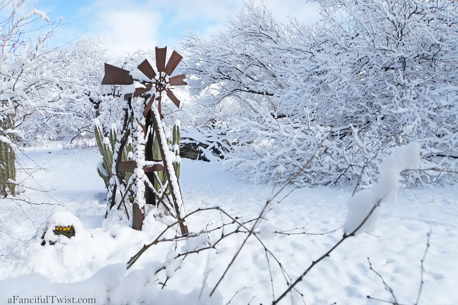 Apple blossom snow white 10 Apple blossom snow white 10