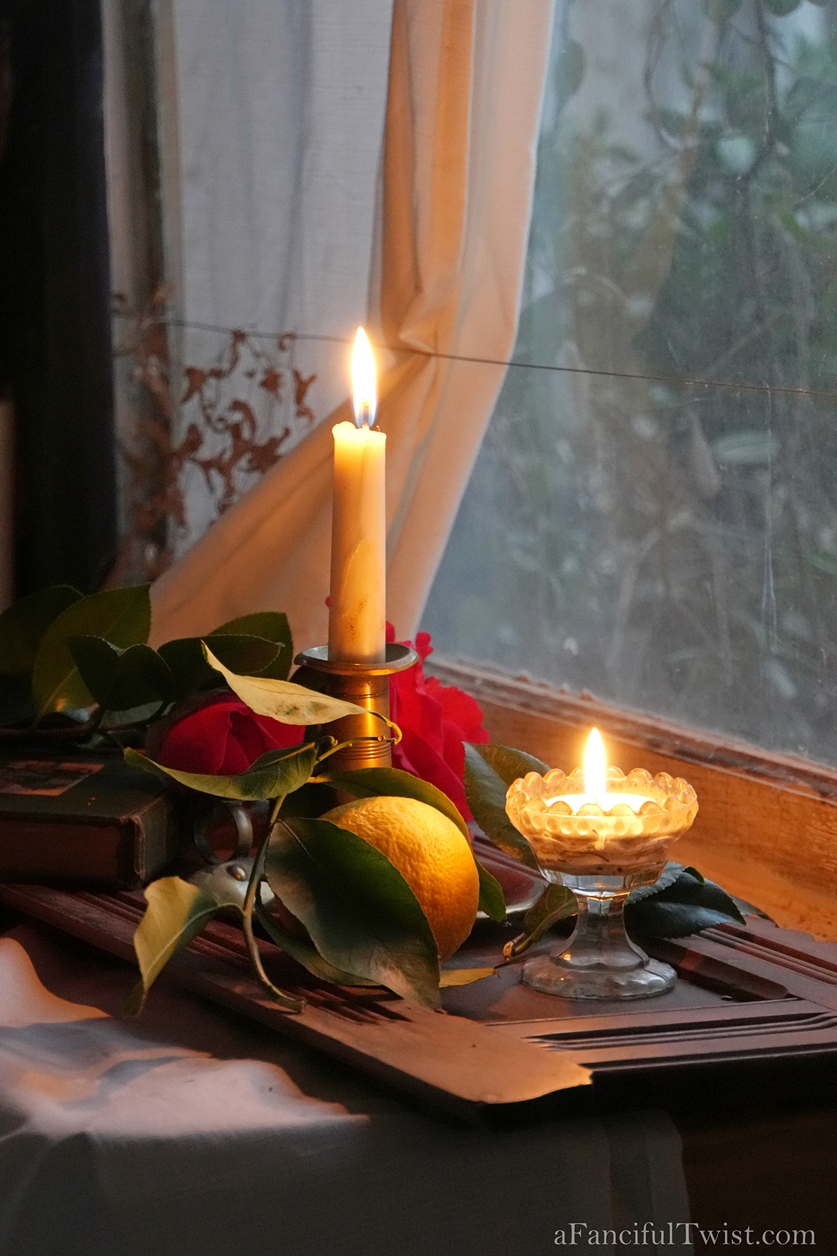 Apple blossom snow white 4 Apple blossom snow white 4