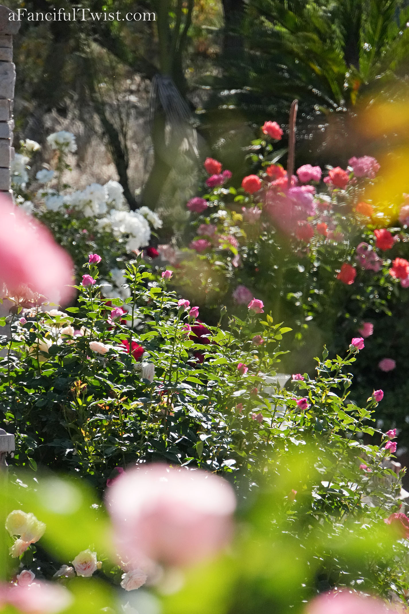 Garden magic part 2 4 Garden magic part 2 4