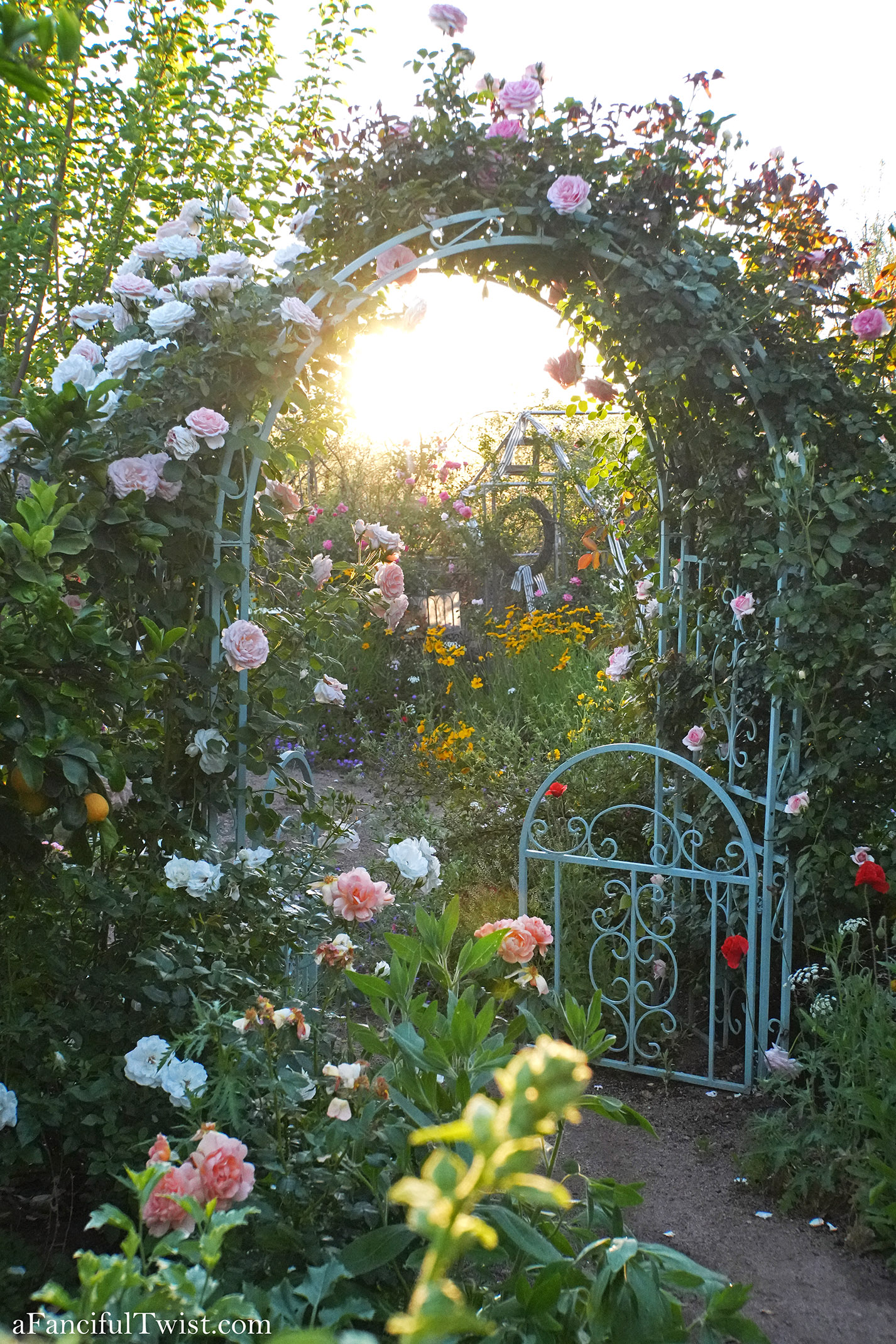 Garden magic part 2 13 Garden magic part 2 13