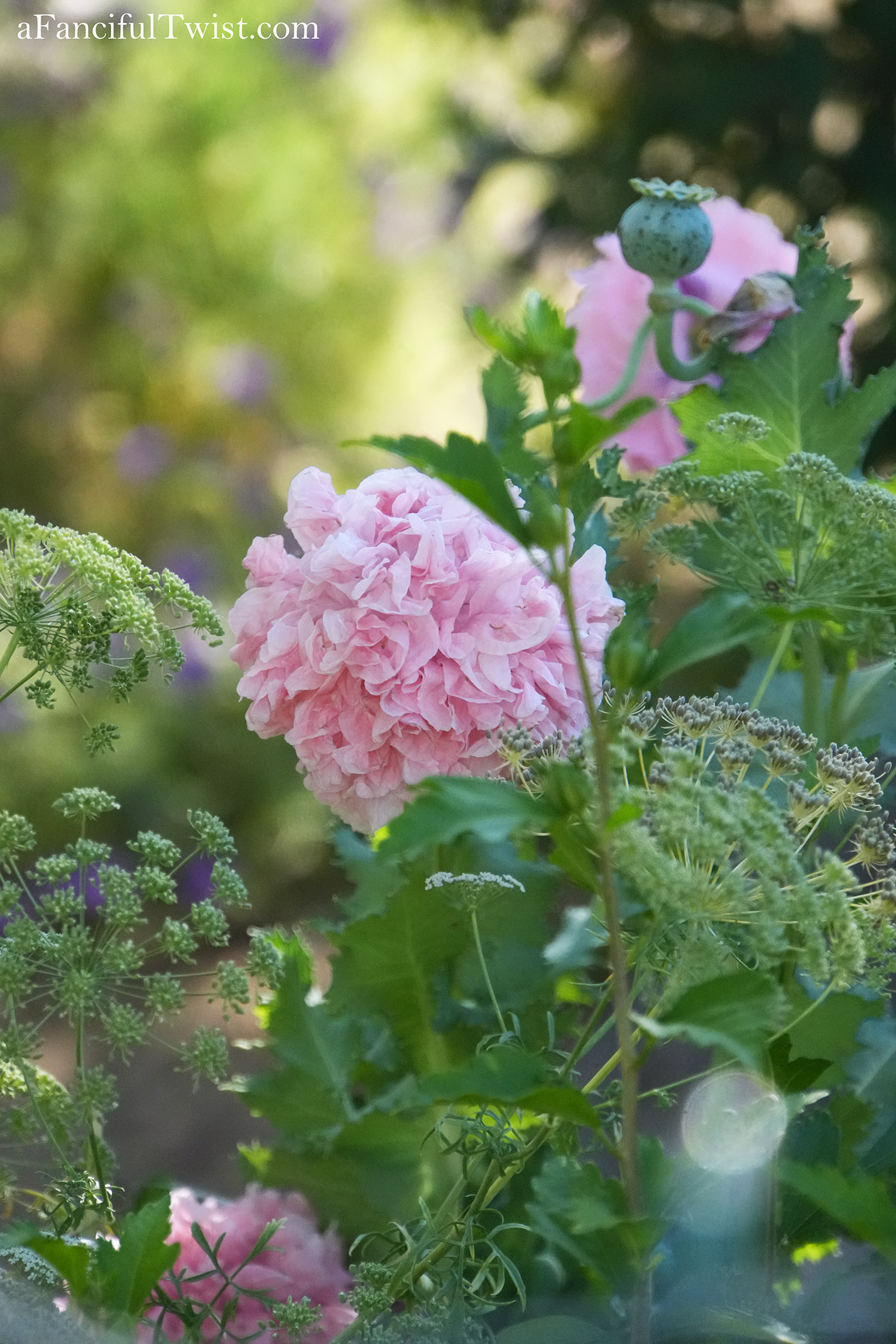 Garden magic part 2 15 Garden magic part 2 15