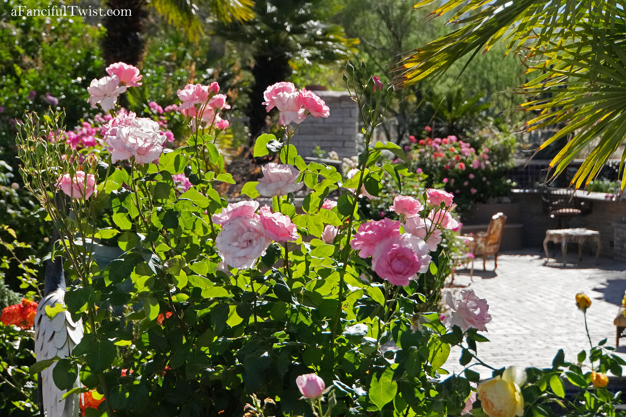 Garden magic part 2 5 Garden magic part 2 5