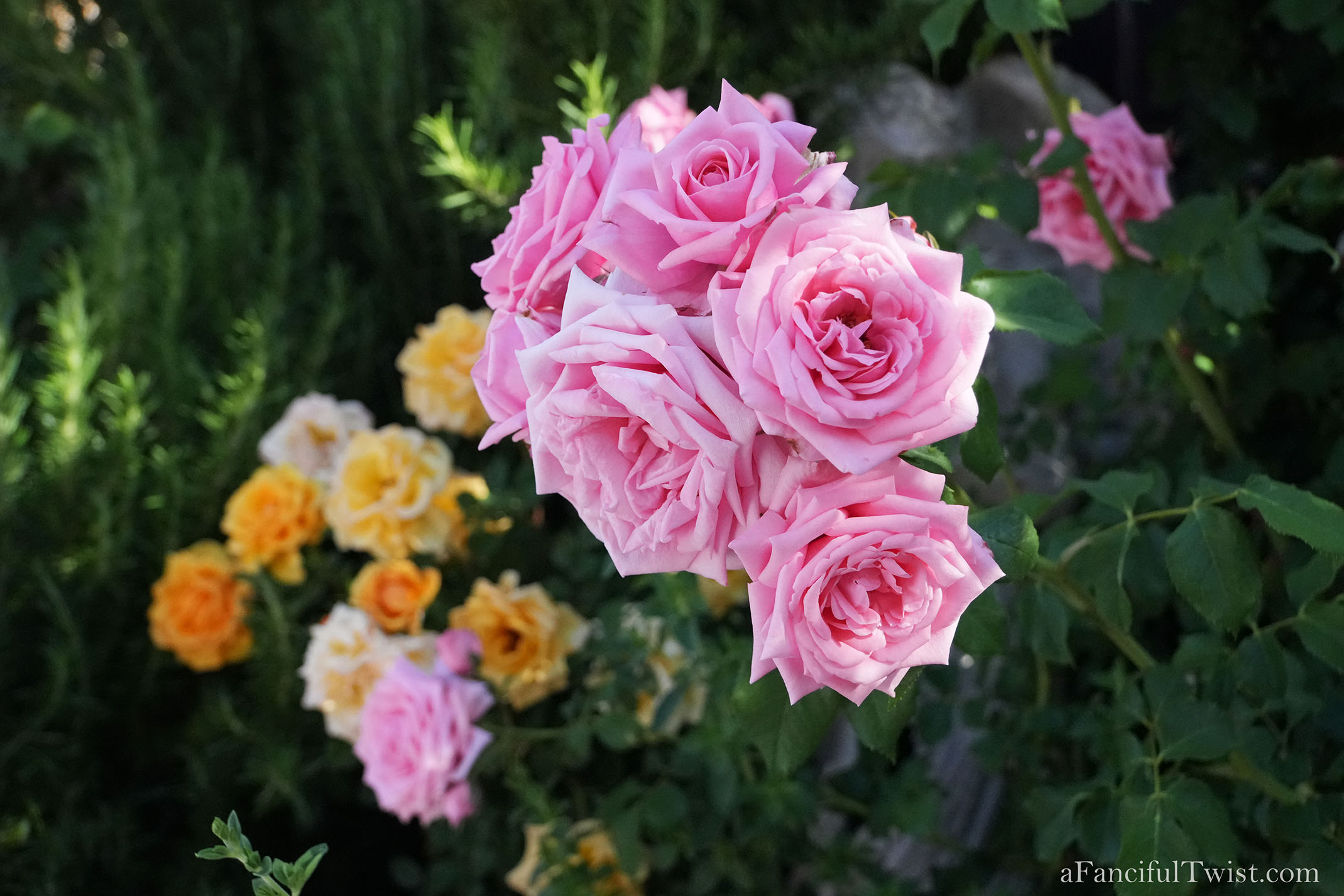 Garden magic part 2 1 Garden magic part 2 1