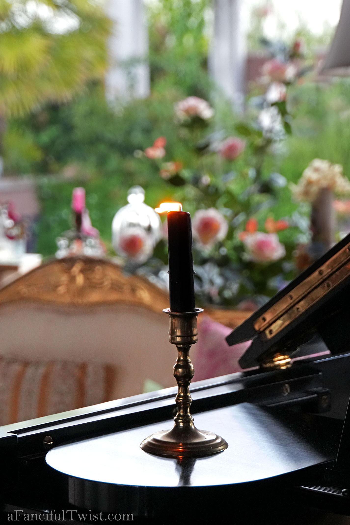 August rain drops 9 August rain drops 9