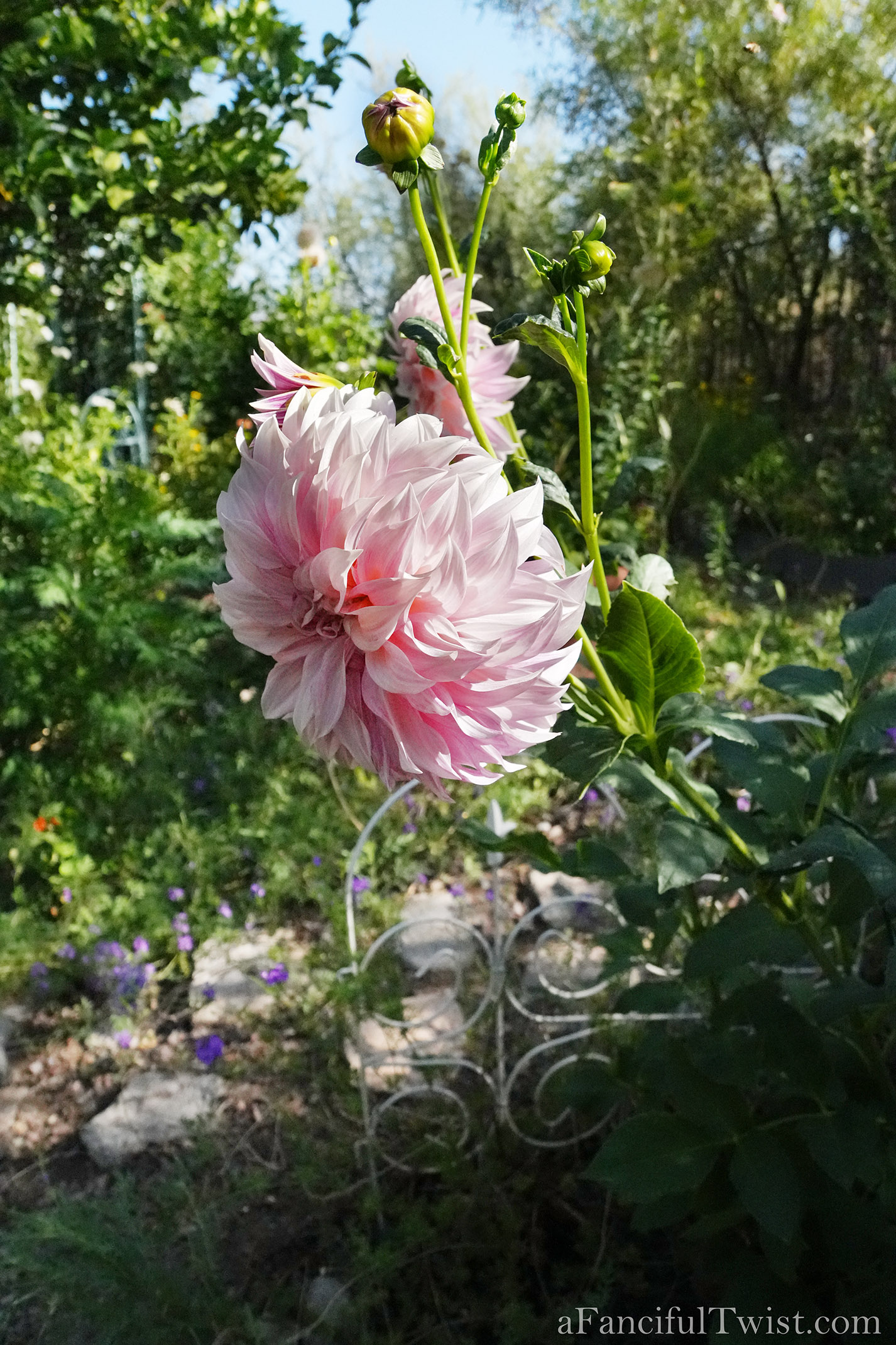 Garden magic part 2 22 Garden magic part 2 22