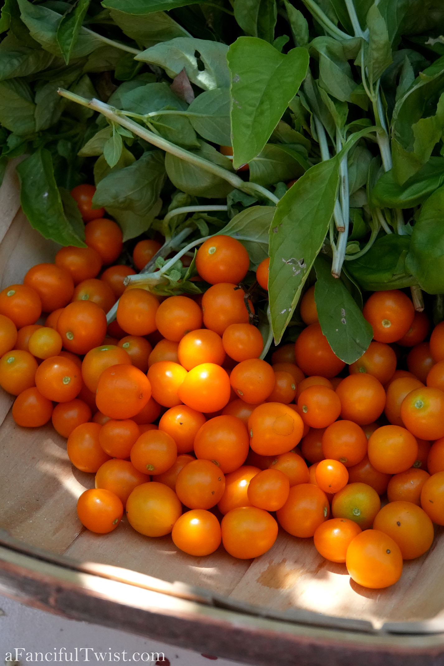 August rain drops 12 August rain drops 12