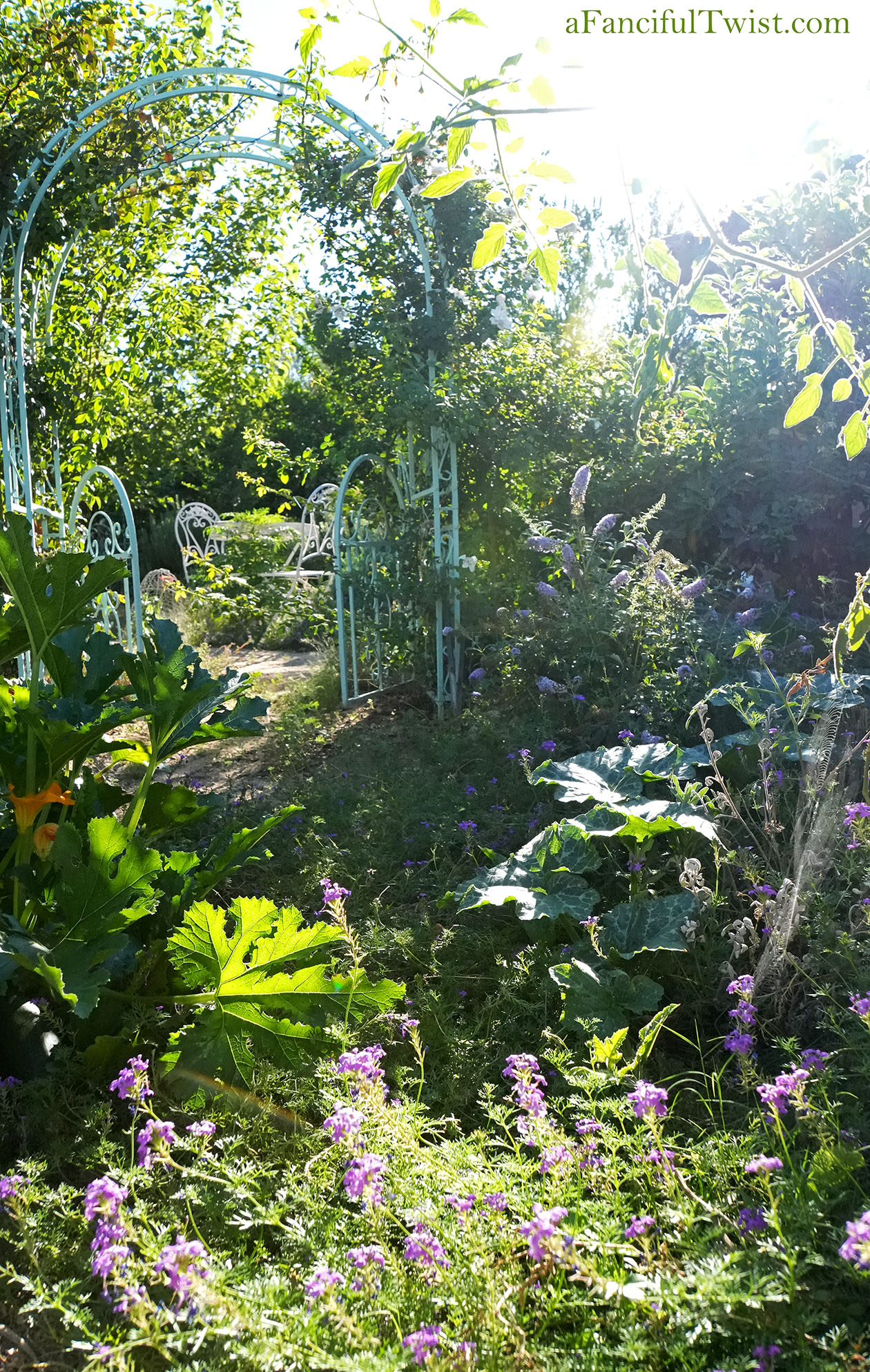 October's garden 7 October's garden 7