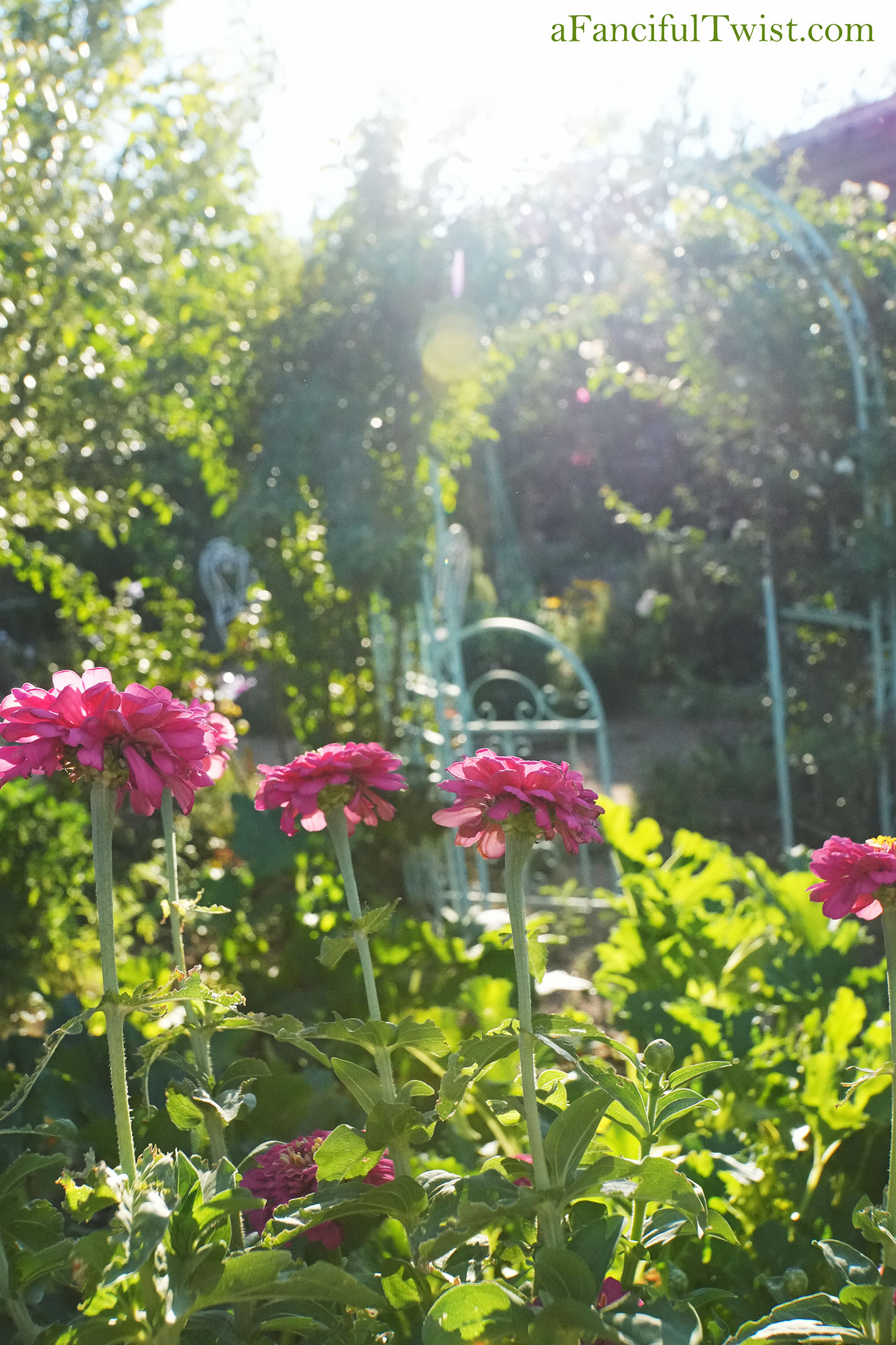 October's garden 18 October's garden 18