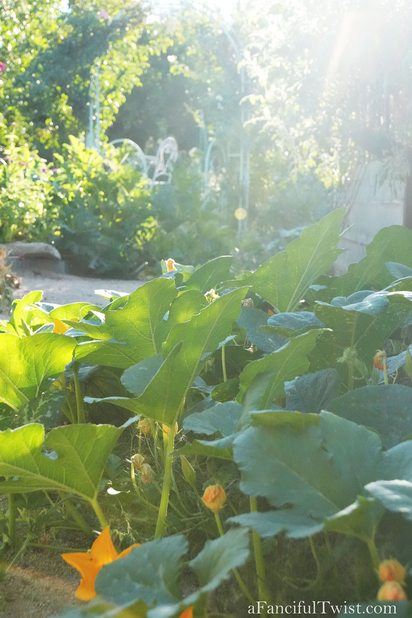 October's garden 16 October's garden 16