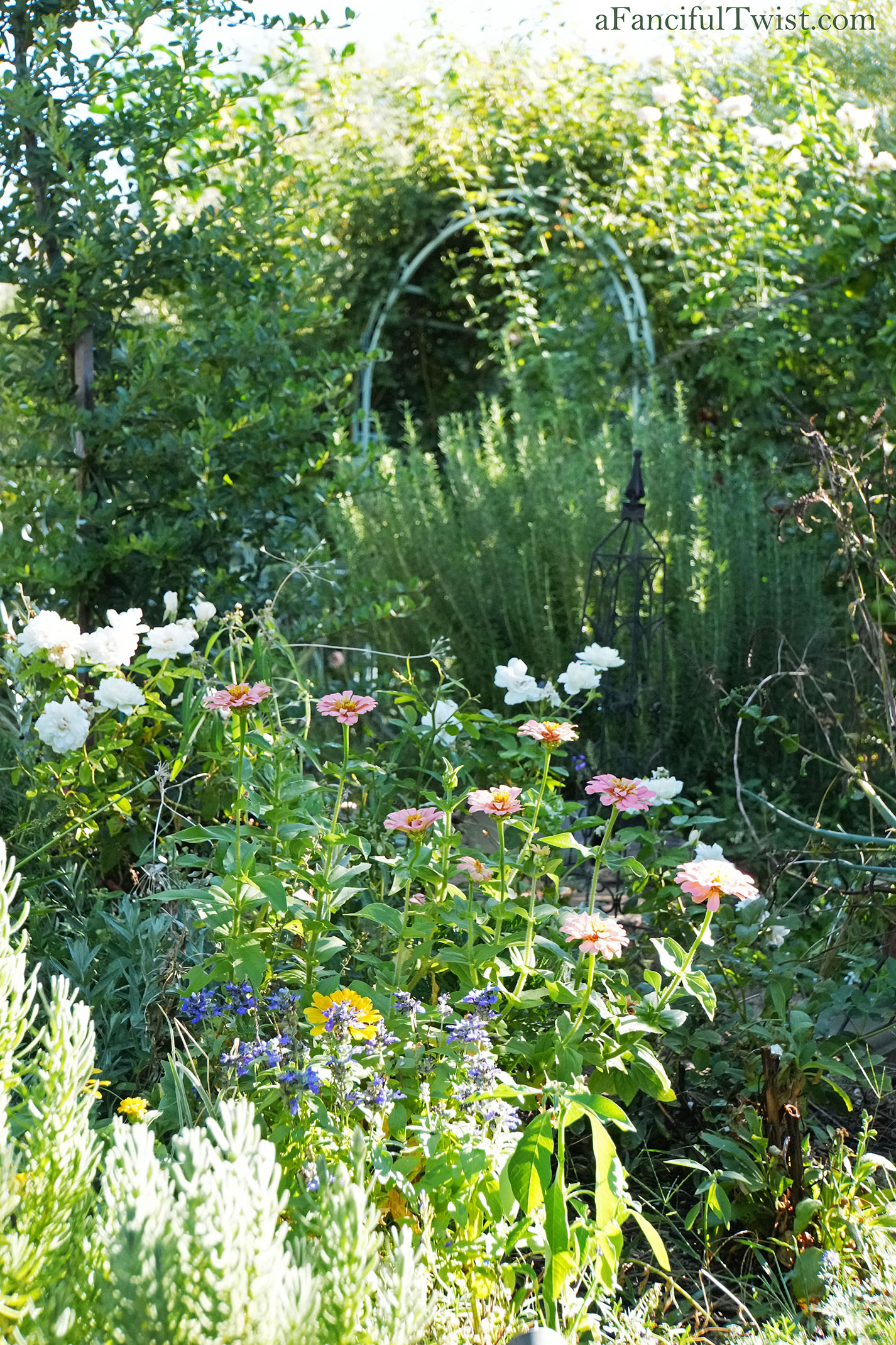 October's garden 28 October's garden 28