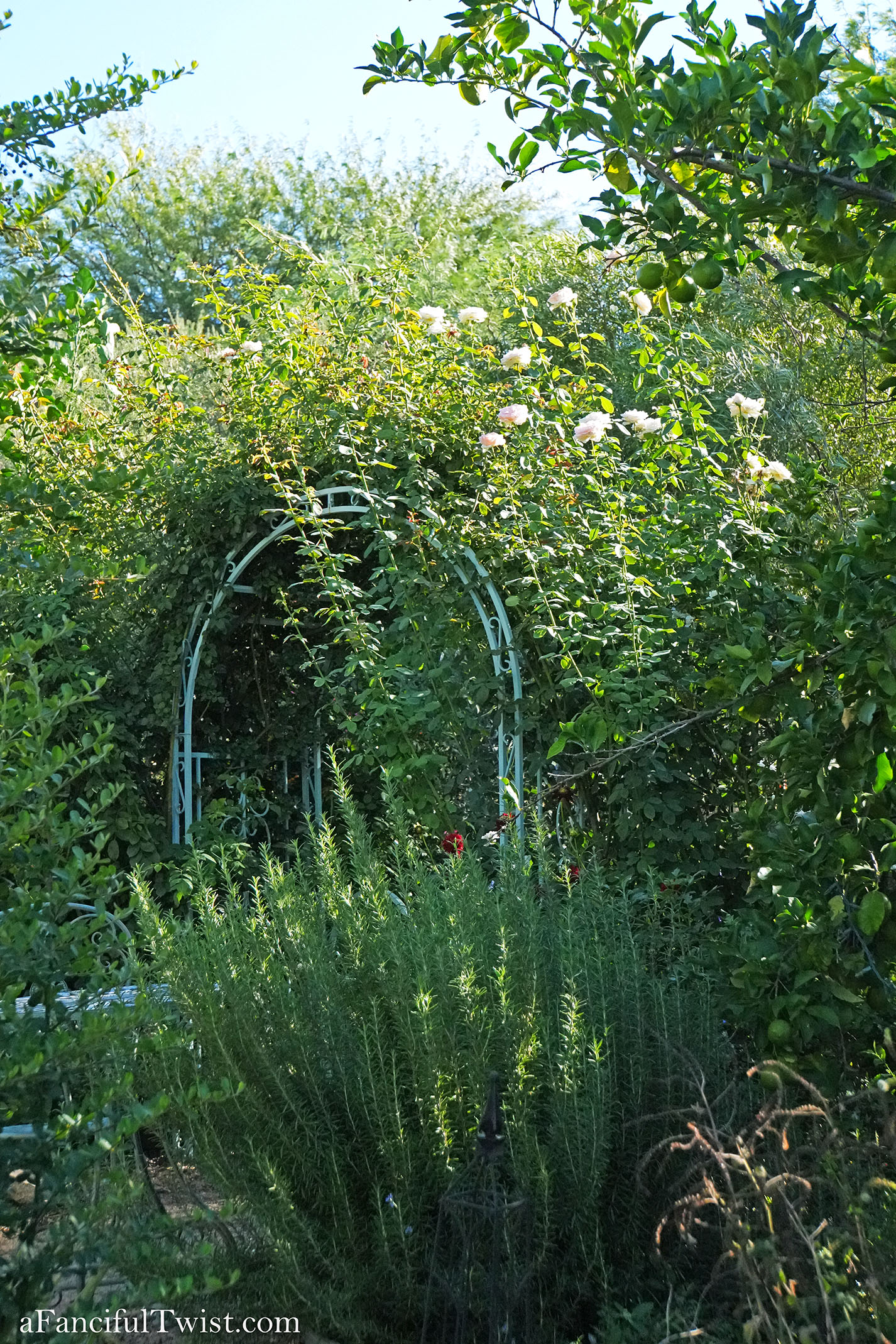 October's garden 27 October's garden 27