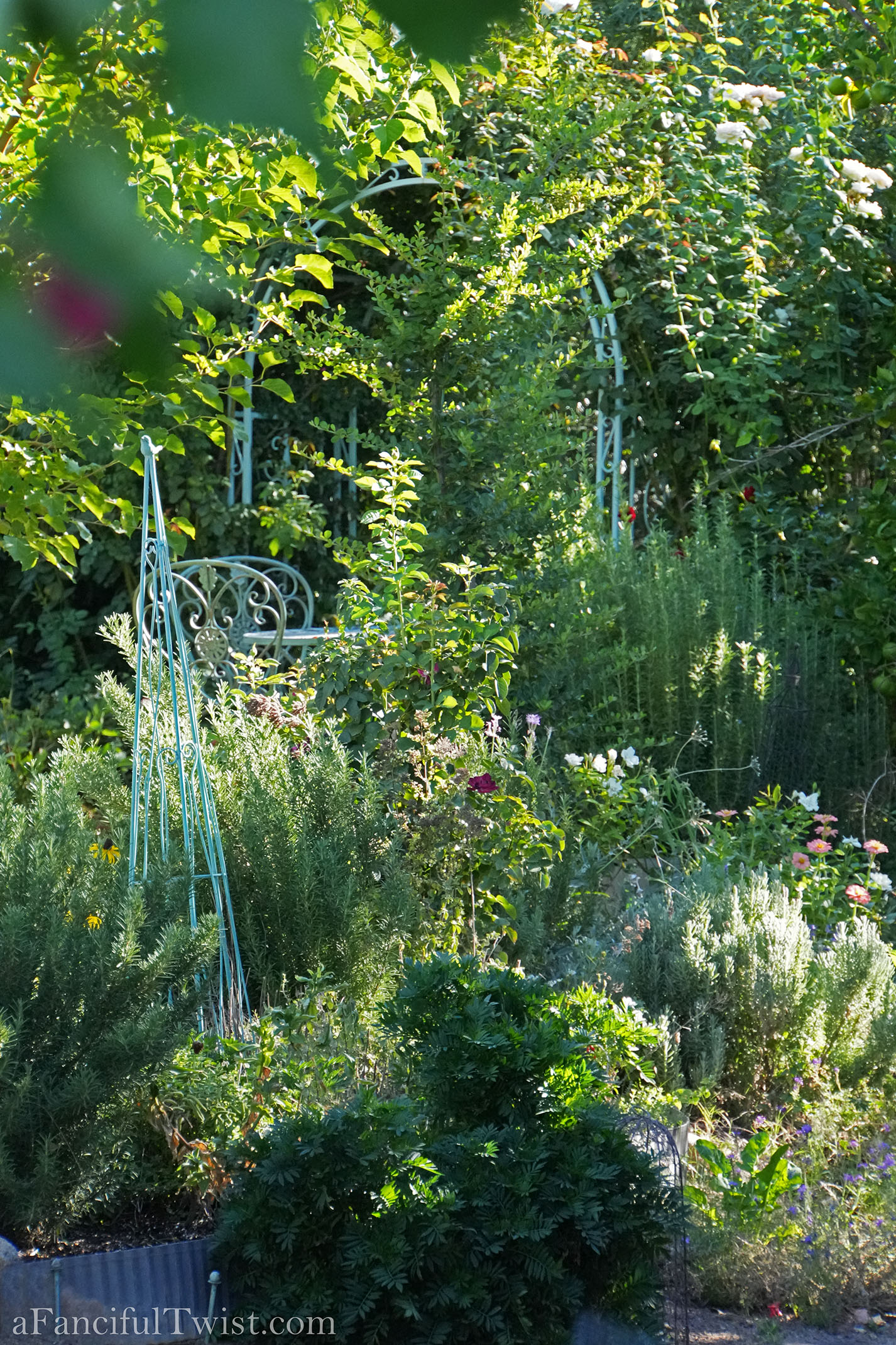 October's garden 14 October's garden 14