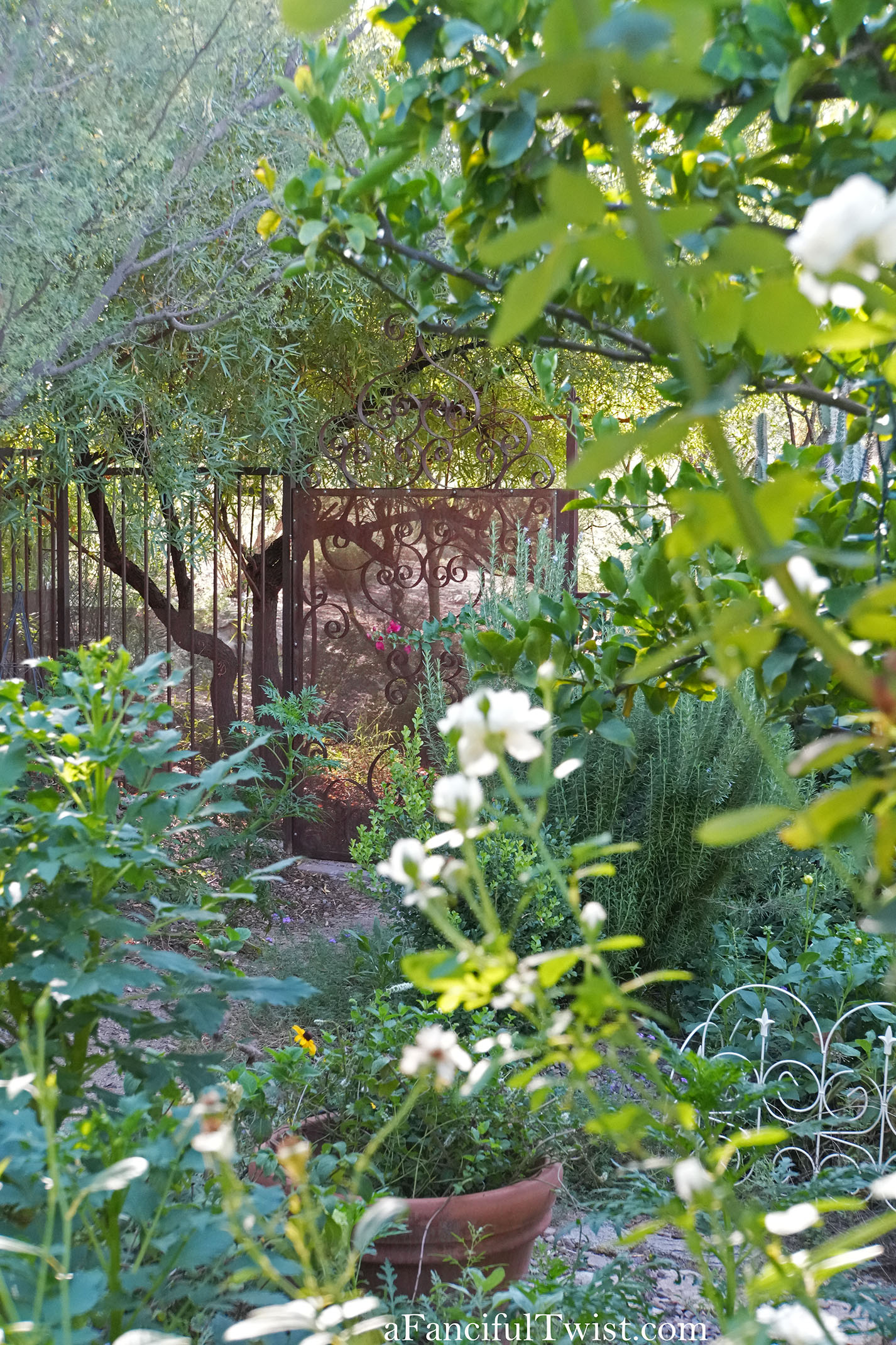 October's garden 10 October's garden 10