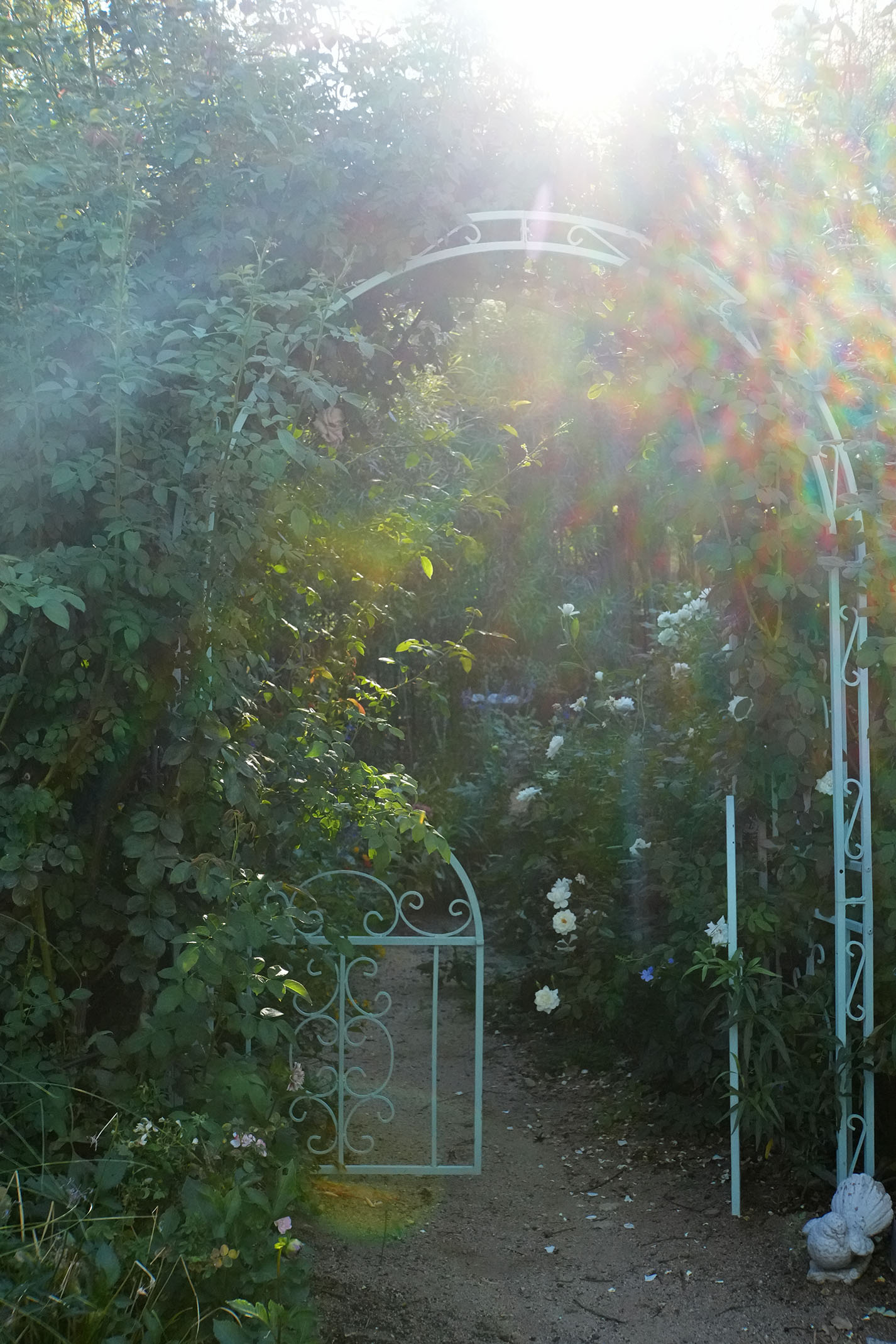 October's garden 20 October's garden 20