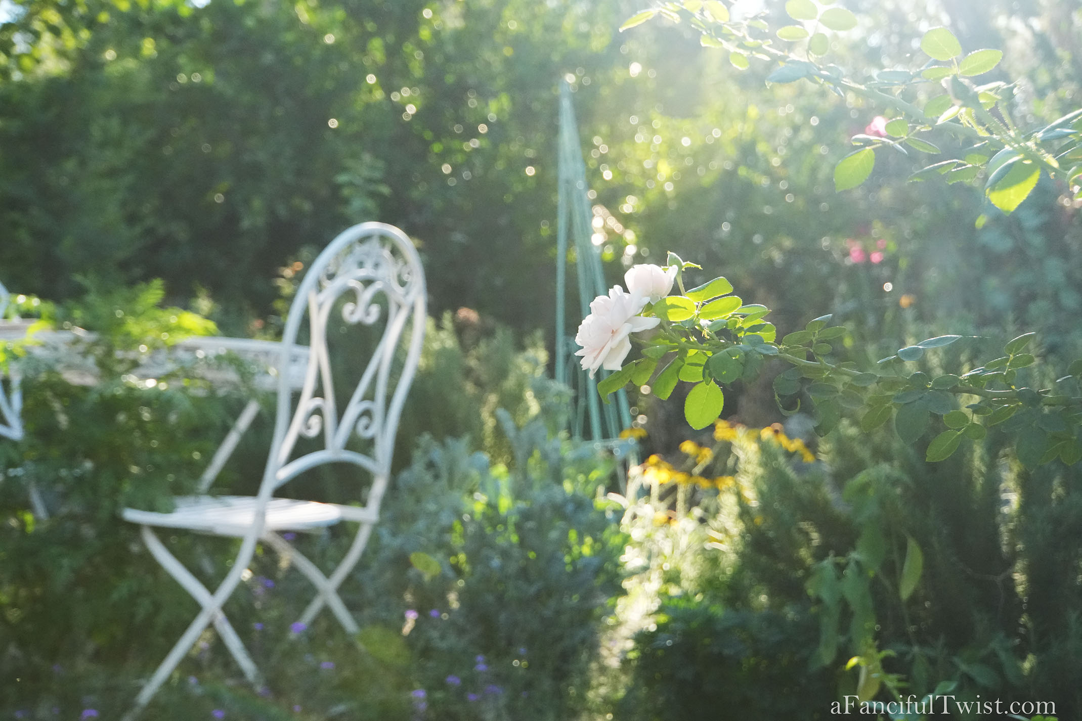 October's garden 19 October's garden 19