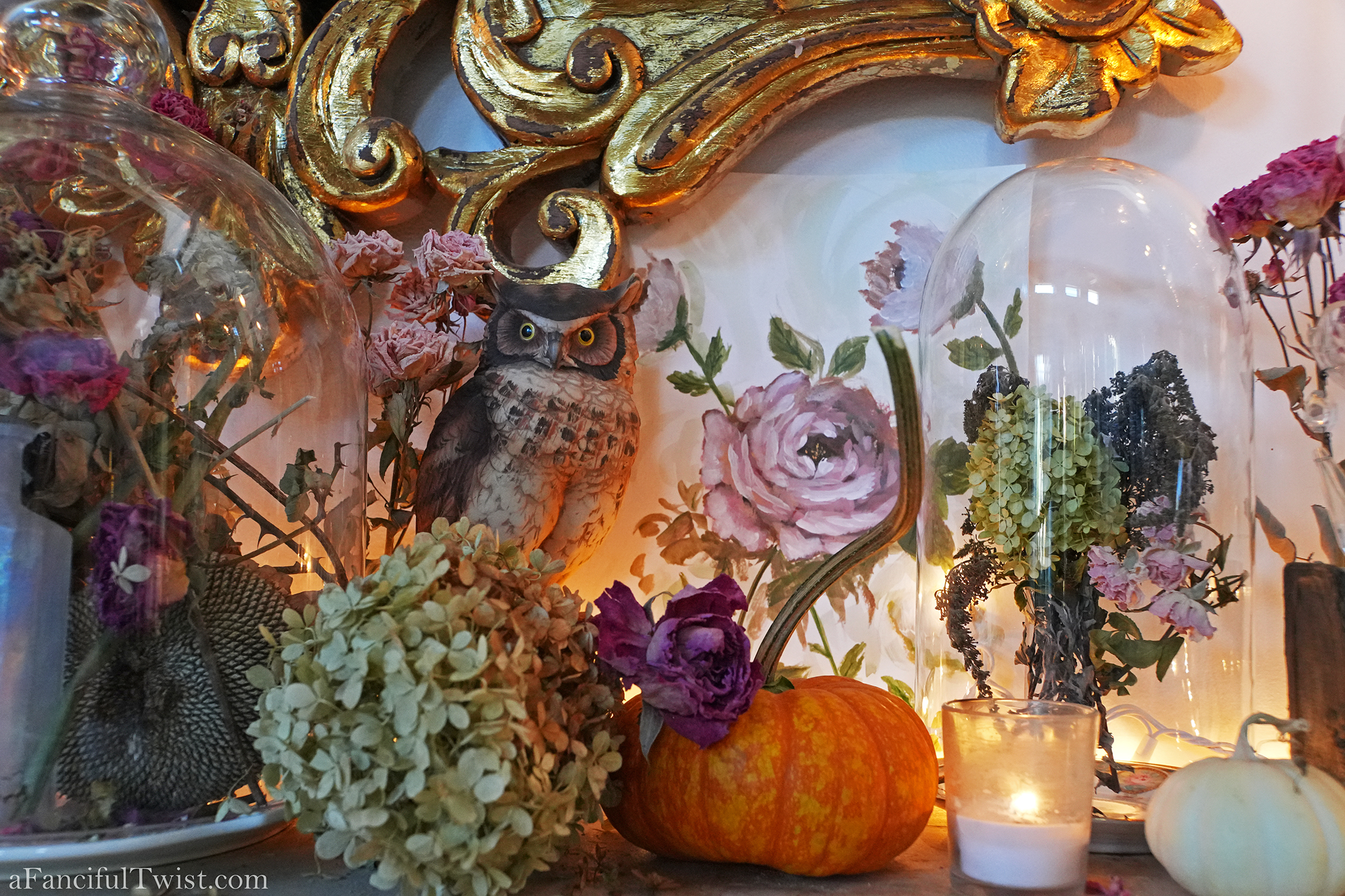 November Autumn 3 November Autumn 3