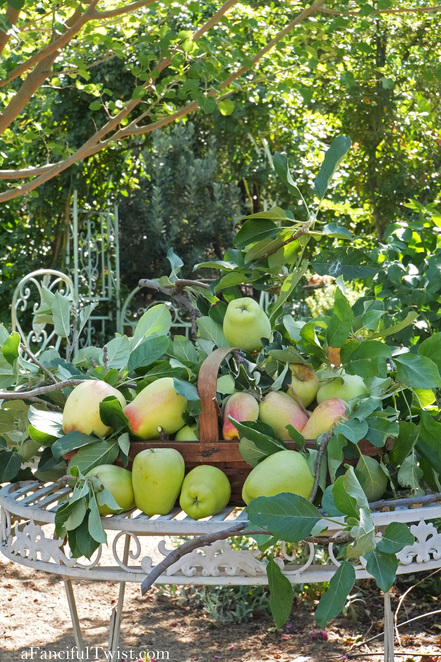 Summer zinnia apple basket love 10 Summer zinnia apple basket love 10