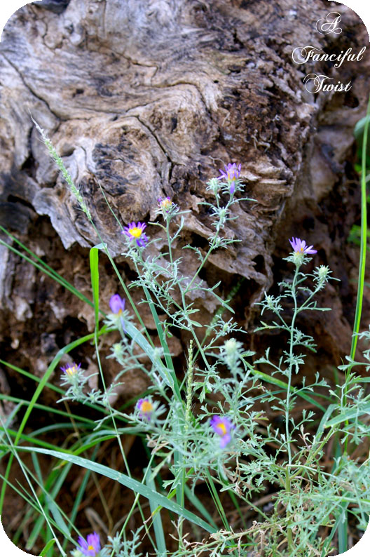 Change_of_heart_17 Change_of_heart_17