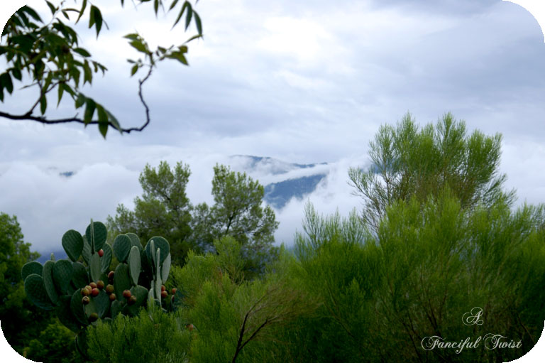 Change_of_heart_3 Change_of_heart_3