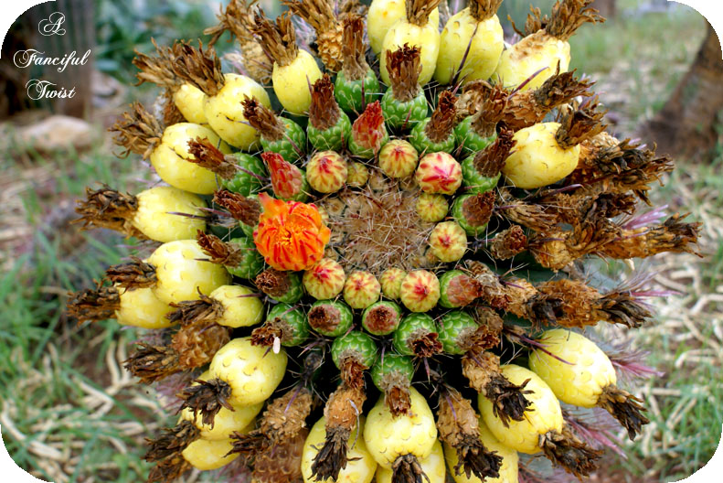 Change_of_heart_7 Change_of_heart_7