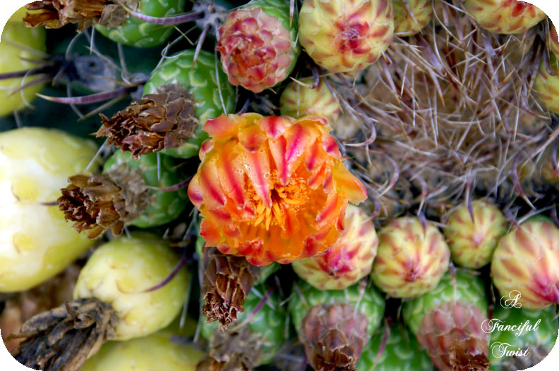 Change_of_heart_8 Change_of_heart_8