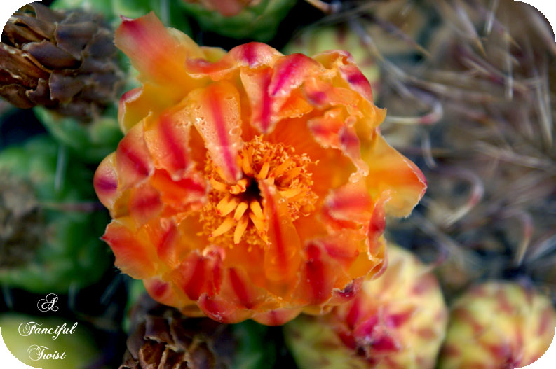 Change_of_heart_9_3 Change_of_heart_9_3