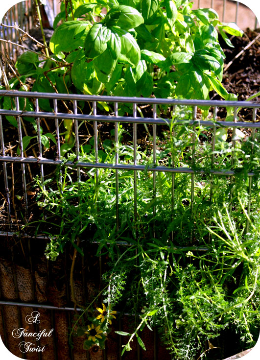 Green_1 Green_1