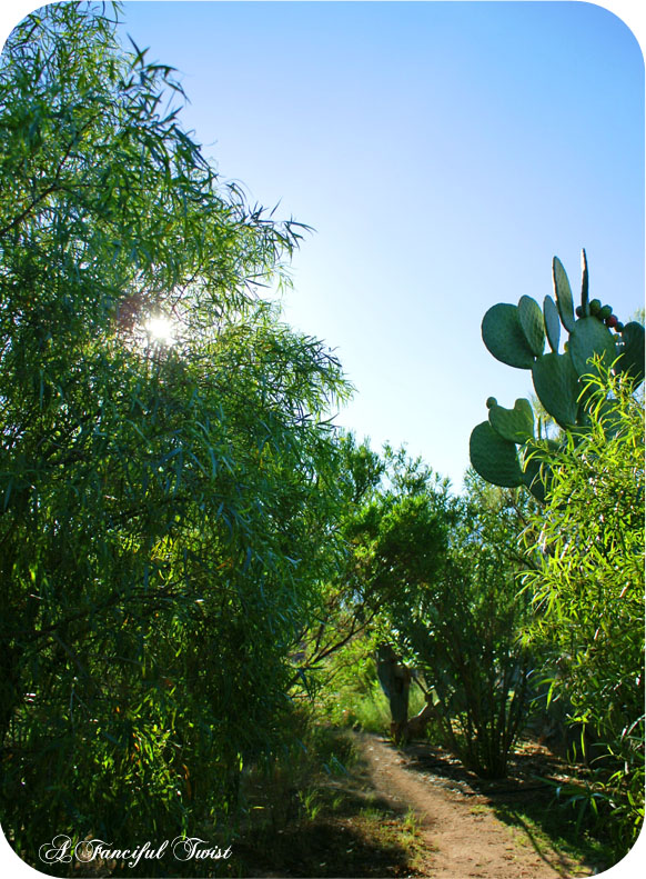 Green_10 Green_10