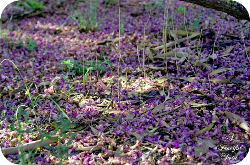 Green_12 Green_12