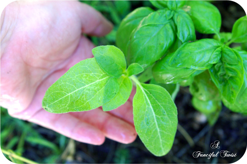 Green_2 Green_2