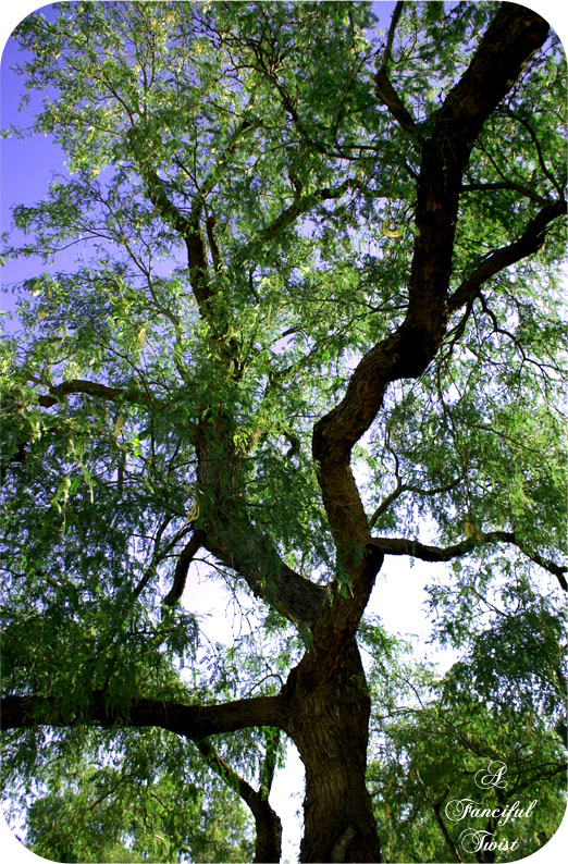 Green_3 Green_3