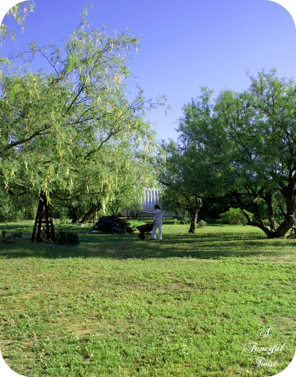 Green_5 Green_5